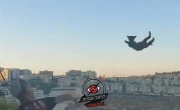 הצעיר משליך את החתול