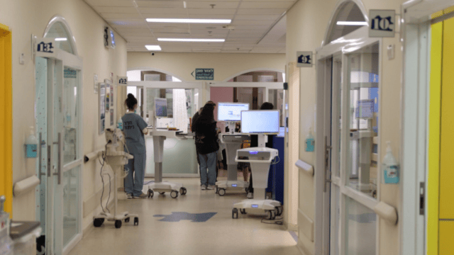 מיון שניידר (צילום: דוברות שניידר) מיון שניידר