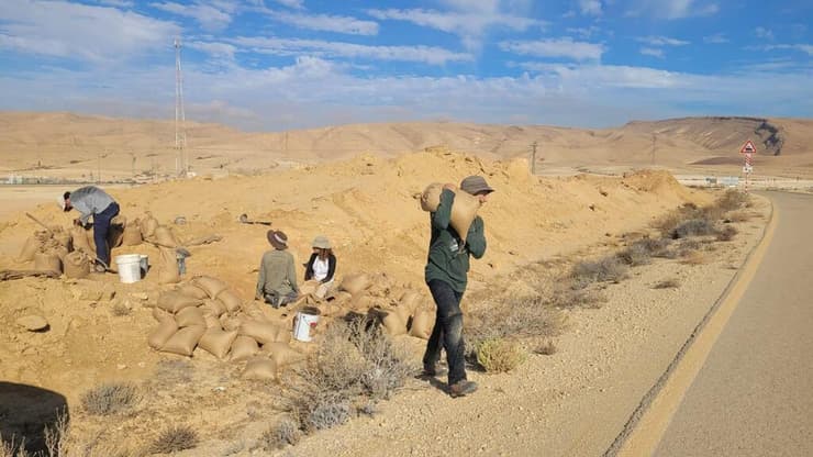 הפרויקט בממשית