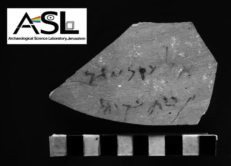 תצלום האוסטרקון בשיטת צילום היפרספקטרלי והיתוך תמונה בשילוב בינה מלאכותית