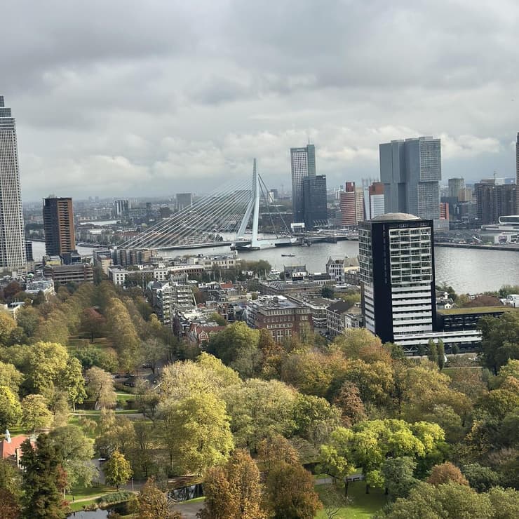 רוטרדם (צילום: רוני קיפרמן) רוטרדם