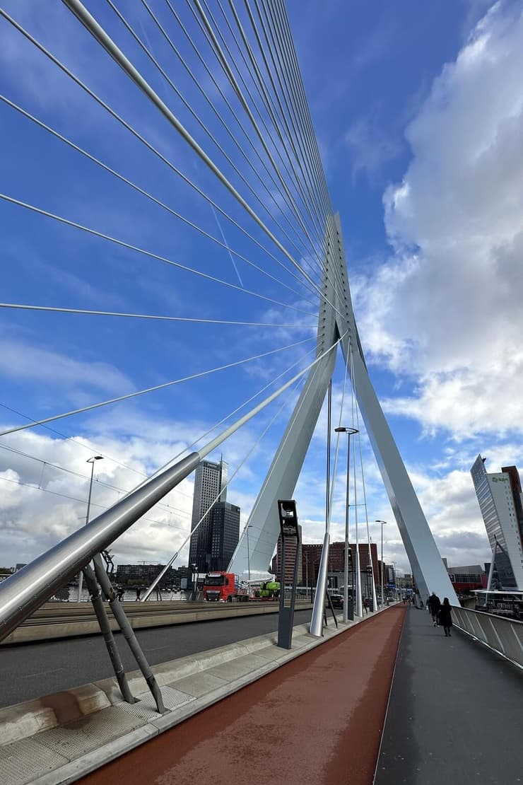 גשר ארסמוס, שמכונה לעיתים קרובות בכינוי "גשר הברבור" (The Swan Bridge) בשל עיצובו הייחודי (צילום: רוני קיפרמן) רוטרדם
