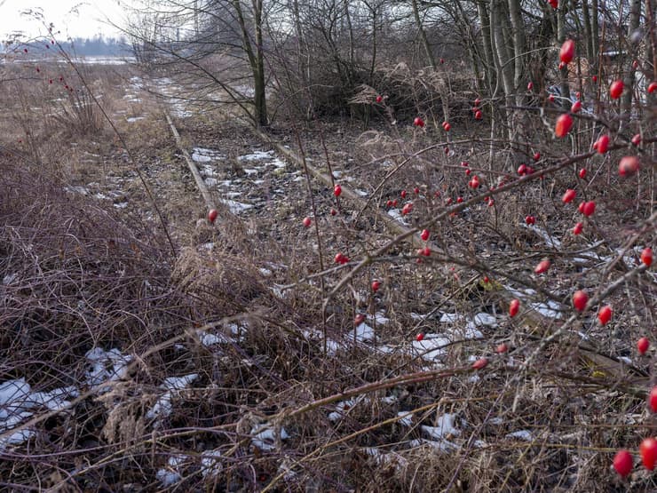 אזור מחנה ההשמדה אושוויץ