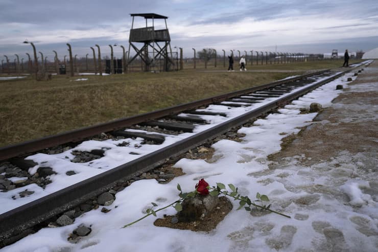 פרחים ליד מסילת הרכבת באושוויץ