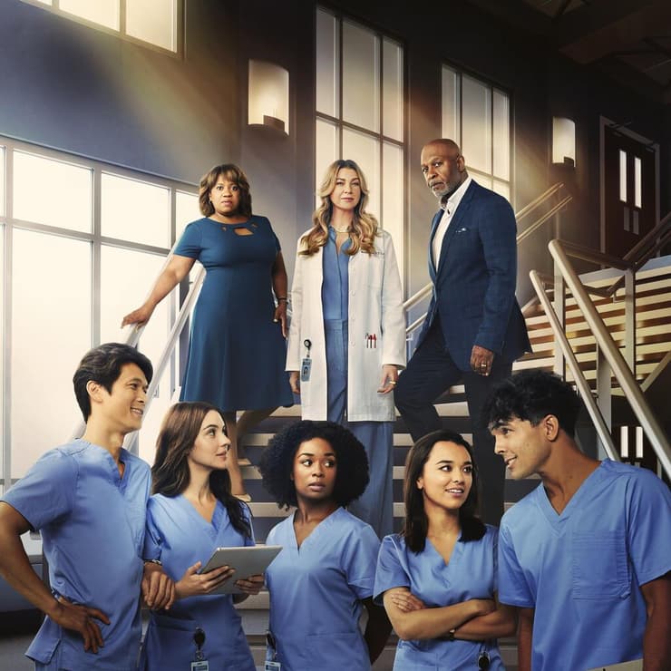 מתוך "האנטומיה של גריי"