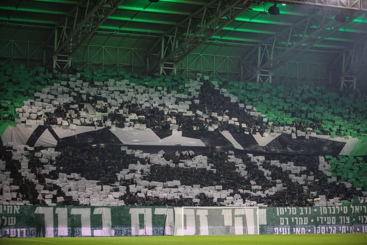 אוהדי מכבי חיפה (צילום: עוז מועלם) אוהדי מכבי חיפה