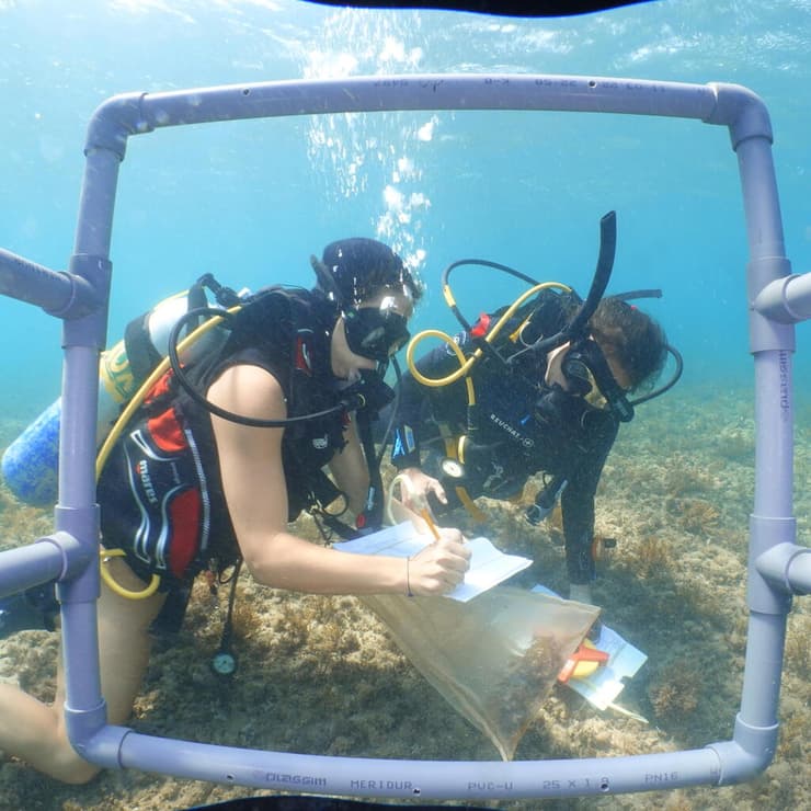 ניטור בים התיכון
