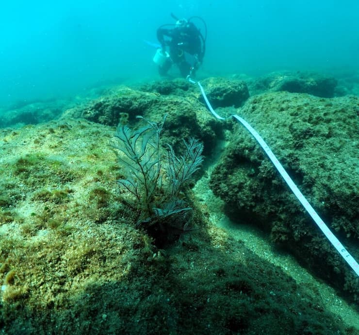 ניטור בים התיכון