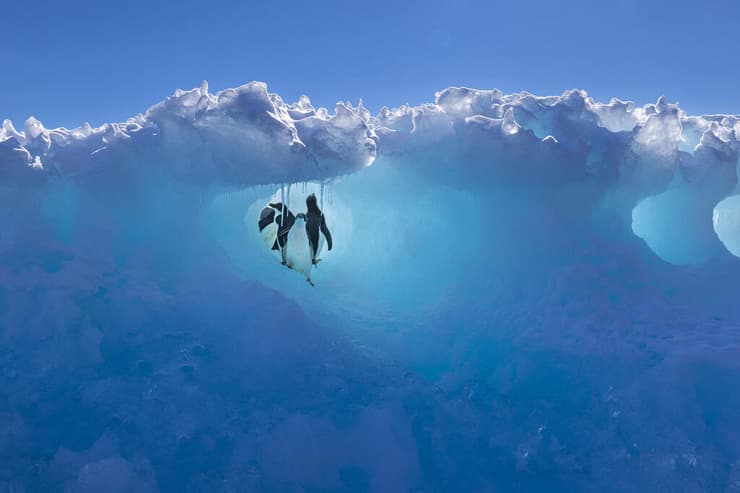 צילום זוכה מתחרות "צלם הטיולים של השנה"