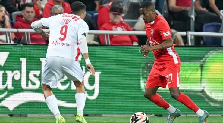 יעקב בריהון מול נבו שדו