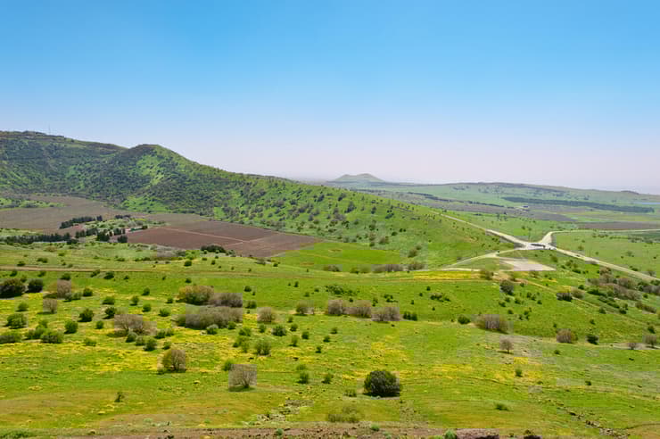 רמת הגולן (צילום: shutterstock) רמת הגולן מחכה לנופשים