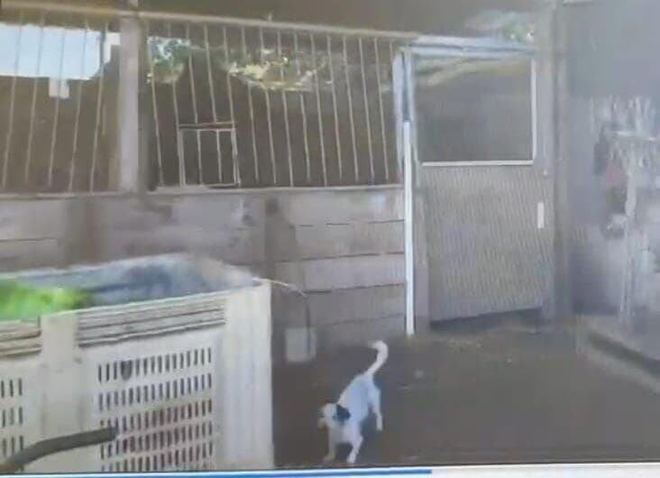 מקום הכליאה של אחד מהחטופים בטייבה