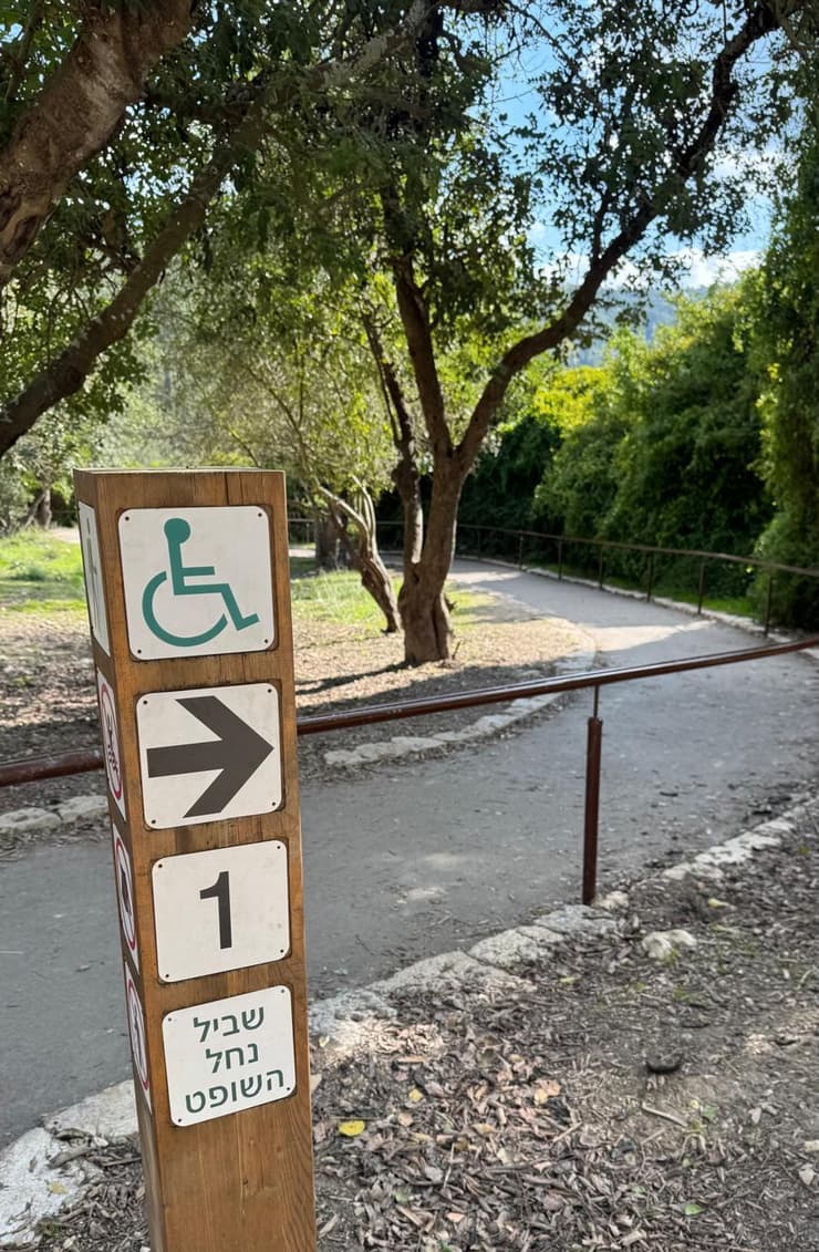 נגיש ומטופח (צילום: ארז דגן) נחל השופט