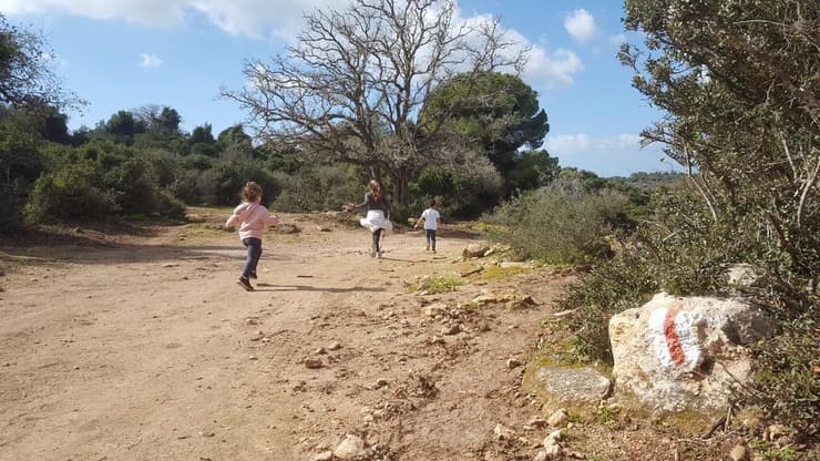 המסלול בהר חורשן (צילום: ארז דגן) המסלול בהר חורשן