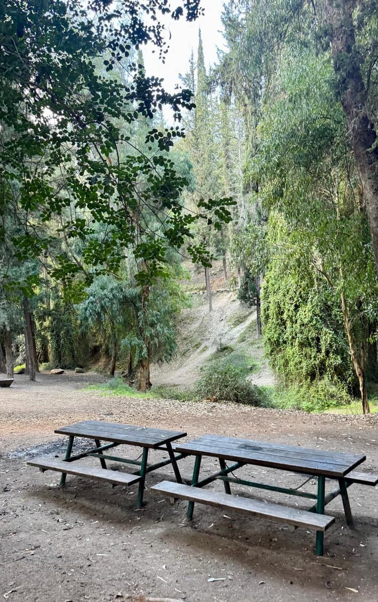שולחנות פיקניק בנחל גיר (צילום: ארז דגן) שולחנות פיקניק בנחל גיר