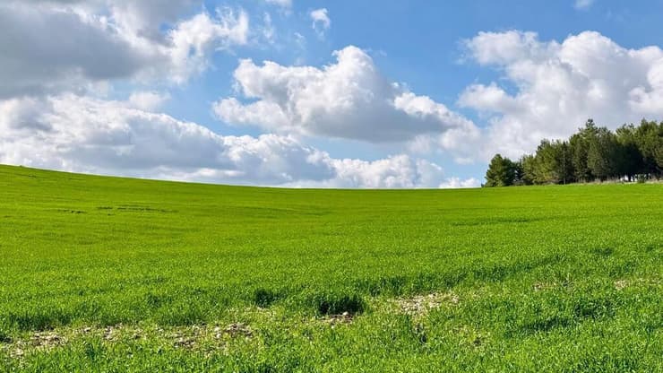 הדרך לנחל השופט (צילום: ארז דגן) נחל השופט