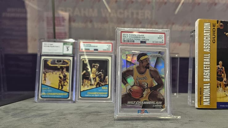 עו"ד אינה נכט