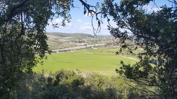 הנוף מהר חורשן (צילום: ארז דגן) הנוף מהר חורשן