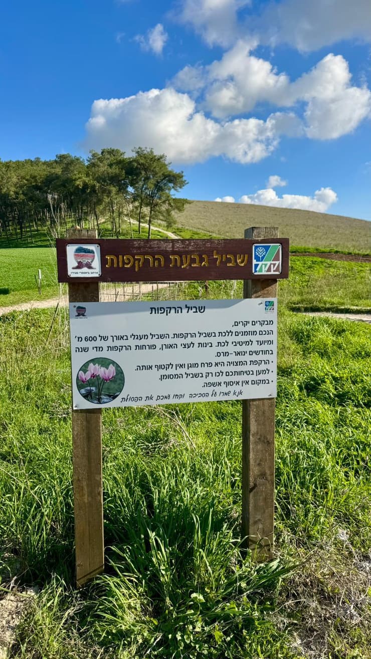 גבעת הרקפות (צילום: ארז דגן) גבעת הרקפות