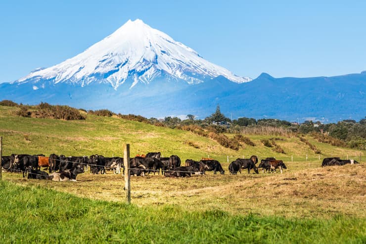ניו זילנד הר טרנאקי קיבל מעמד של בן אנוש