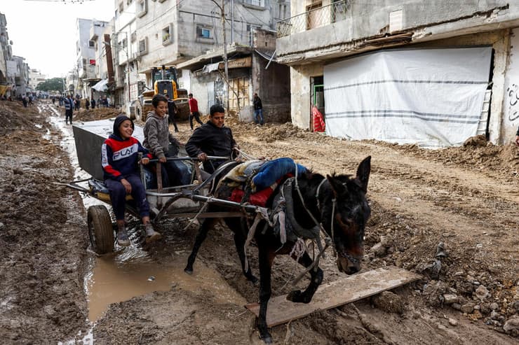 מבצע צבאי בטול כרם 