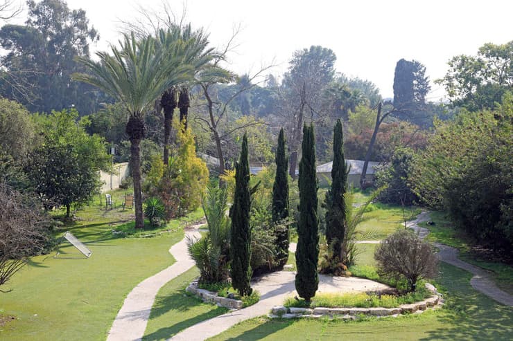 מכון הגמילה היוקרתי וילה באלאנס