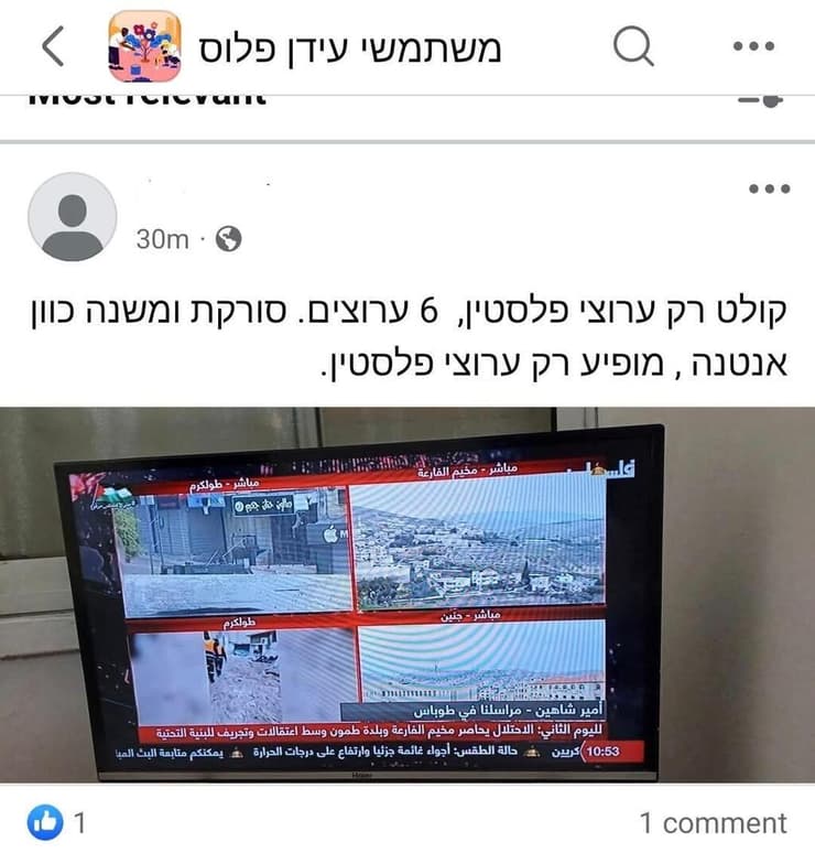 פולו משתמשי עידן פלוס