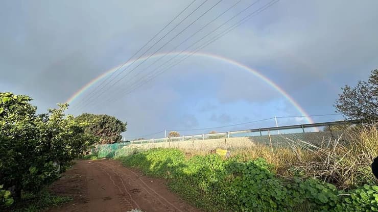 קשת בענן בפרדס חנה (צילום: מור עדי) קשת בענן בפרדס חנה