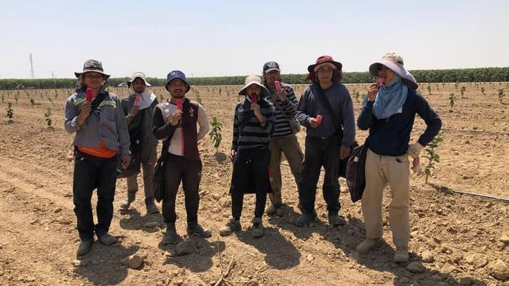 ביפין ג'ושי