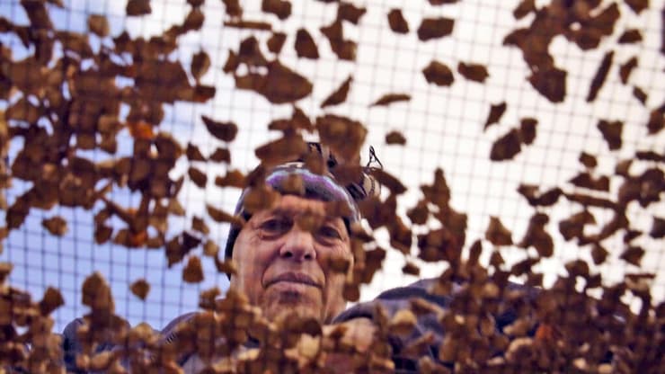 סינון ממצאים מהחפירה