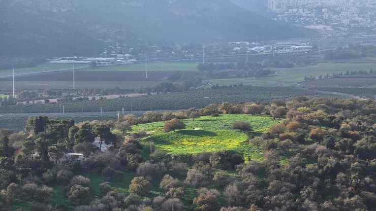 תמונה זום שנלקחה עם ה-S25 אולטרה