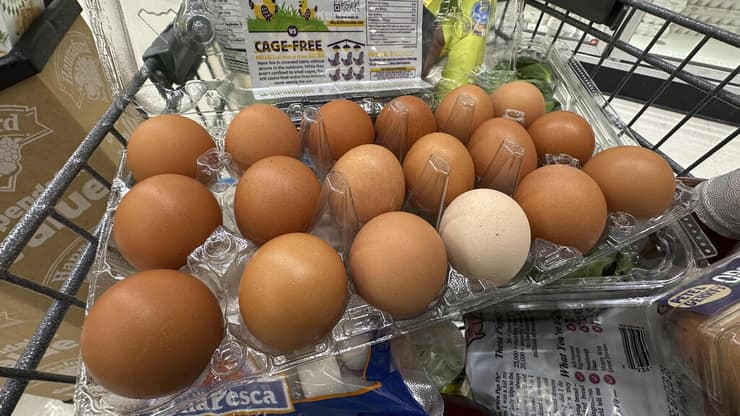 אילוסטרציה ביצים ( צילום: AP Photo/Robert F. Bukaty) אילוס אילוסטרציה ביצים