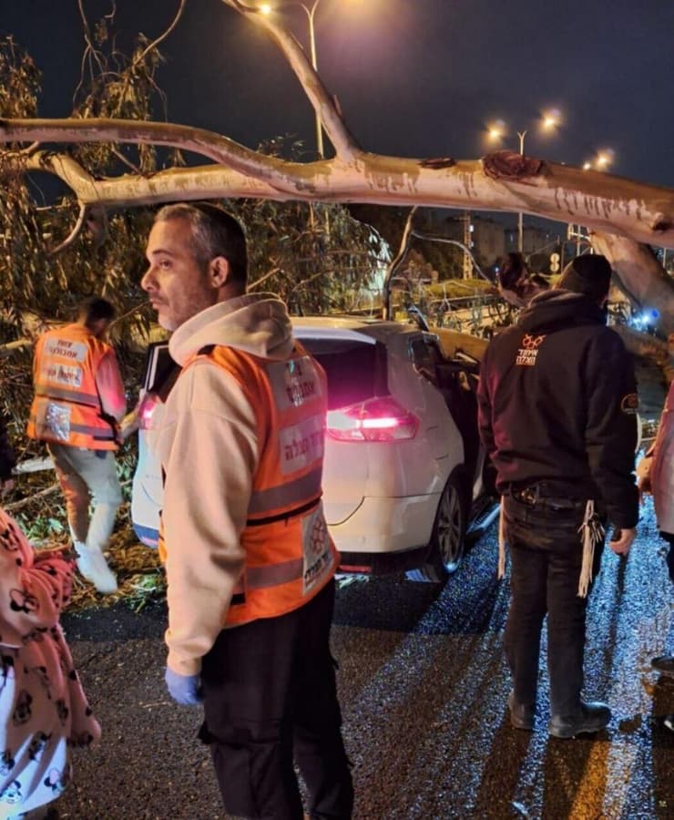 עץ קרס על רכב בקריית ביאליק