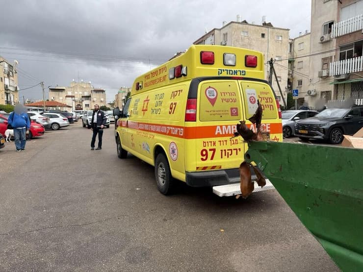 זירת הרצח בנתניה