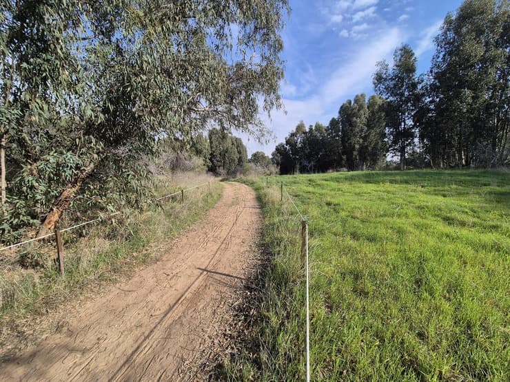 הדרך אל הפורטל ביער האילנות, צריך רכב שטח