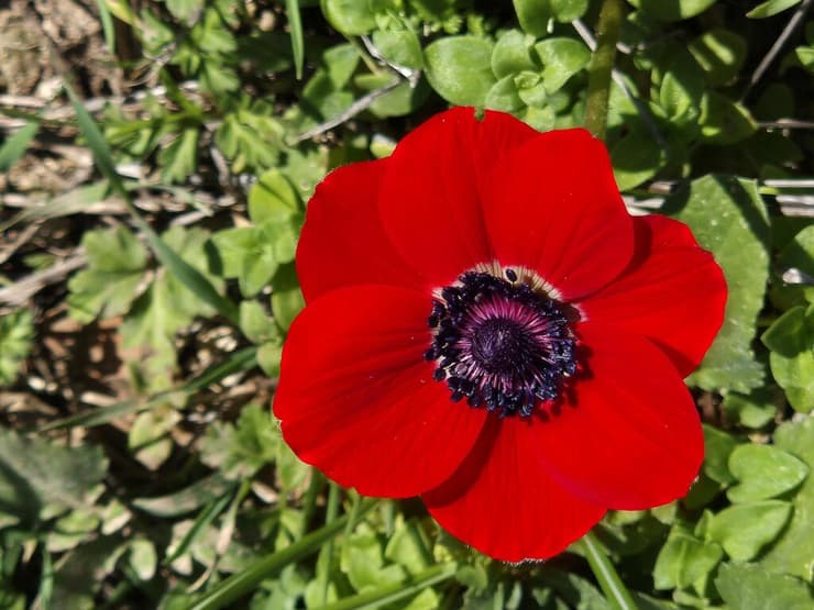 טיול לחורבת צונם 