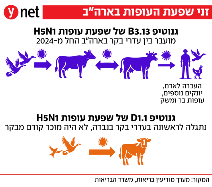 שפעת העופות
