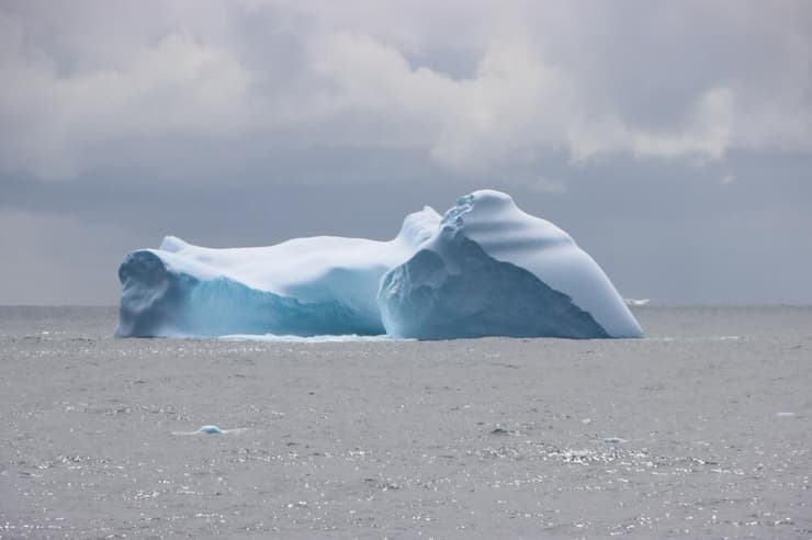 קרחון בים סקוטיה, שם נדגמו 135 סרטני הוף