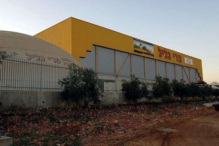 מפעל פרי הגליל