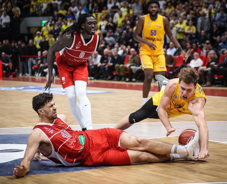 יוקובאיטיס מול גינת