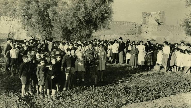 ט"ו בשבט בבית הספר החקלאי במרקש, מרוקו, בשנת 1954