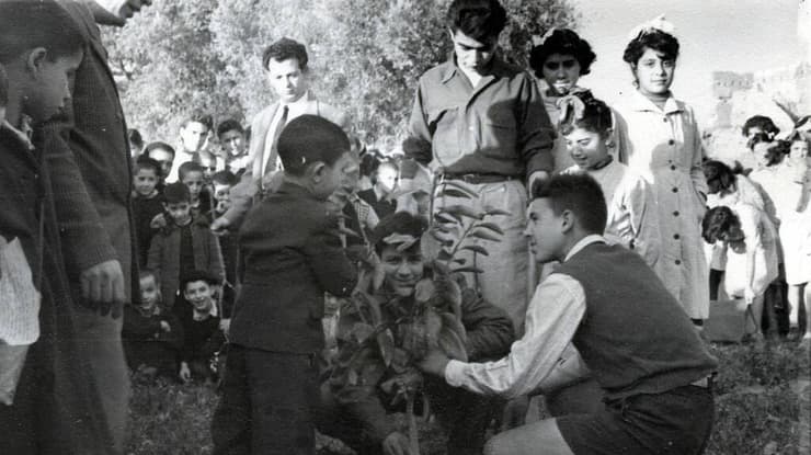 נטיעות לט"ו בשבט במרקש, מרוקו, 1954