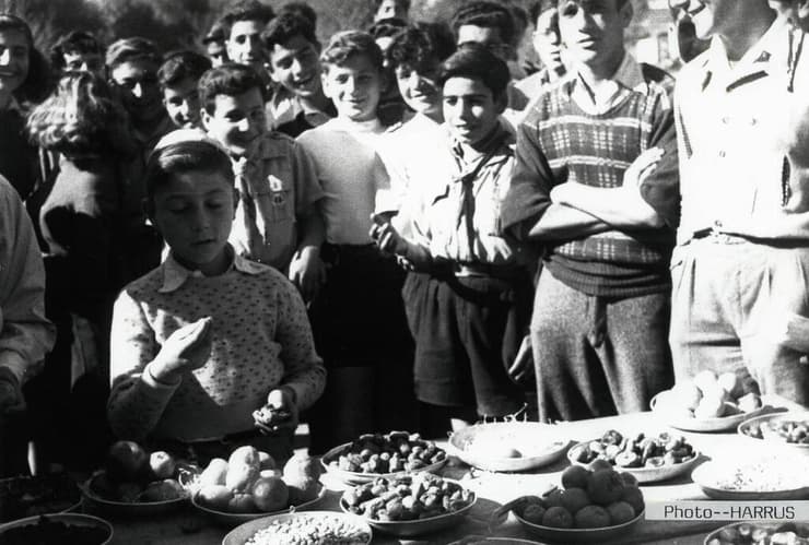 ט"ו בשבט במרקש, מרוקו