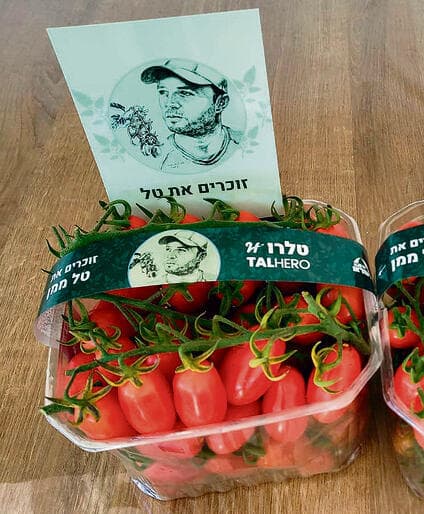 עגבניות מזן טלרו, לזכרו של טל yk14259102