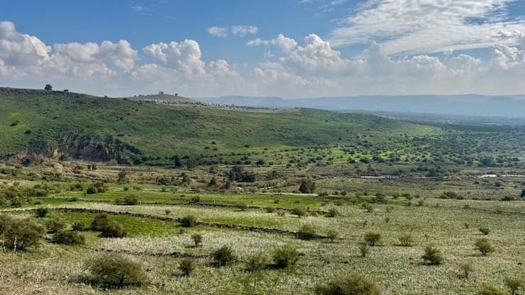 ירוק שם בימים אלה בהירדן ההררי (צילום: ארז דגן) ירוק שם בימים אלה בהירדן ההררי