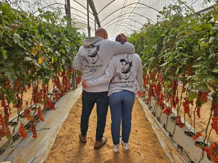 "מחווה אדירה בשבילנו". החממות במושב מבטחים עגבניות מזן טלרו לזכרו של טל ממן ז"ל, בחממות במושב מבטחים