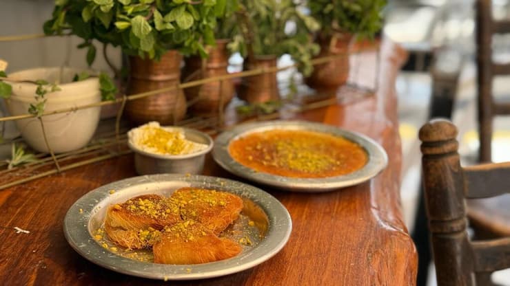 כנאפה תלפיות