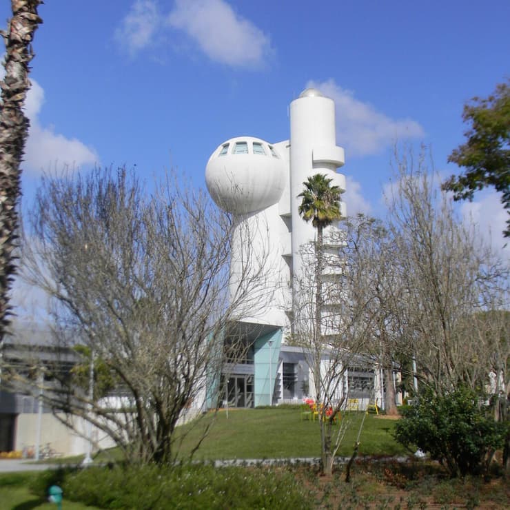 מכון ויצמן למדע