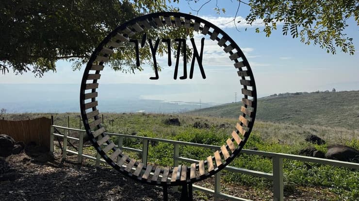 נוף מושלם לצד הקפה (צילום: ארז דגן) עגלת קפה אמיצ'י