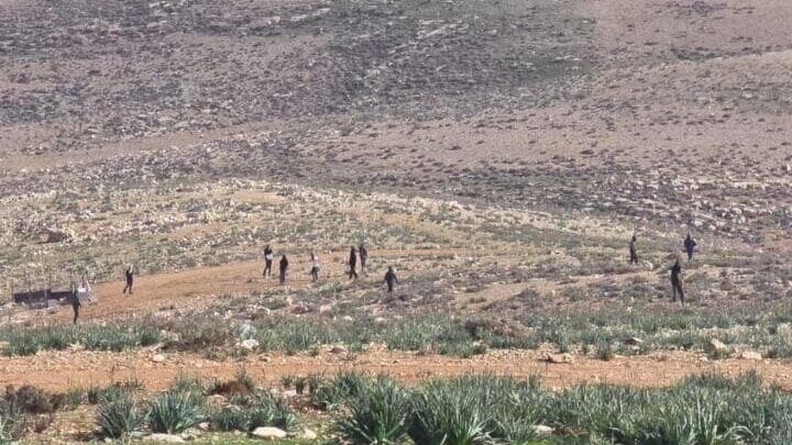 מתנחלים תוקפים פלסטינים סמוך לבית לחם באמצעות גז פלפל, אלות וכלבים